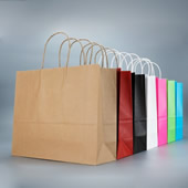 Colored Paper Bag