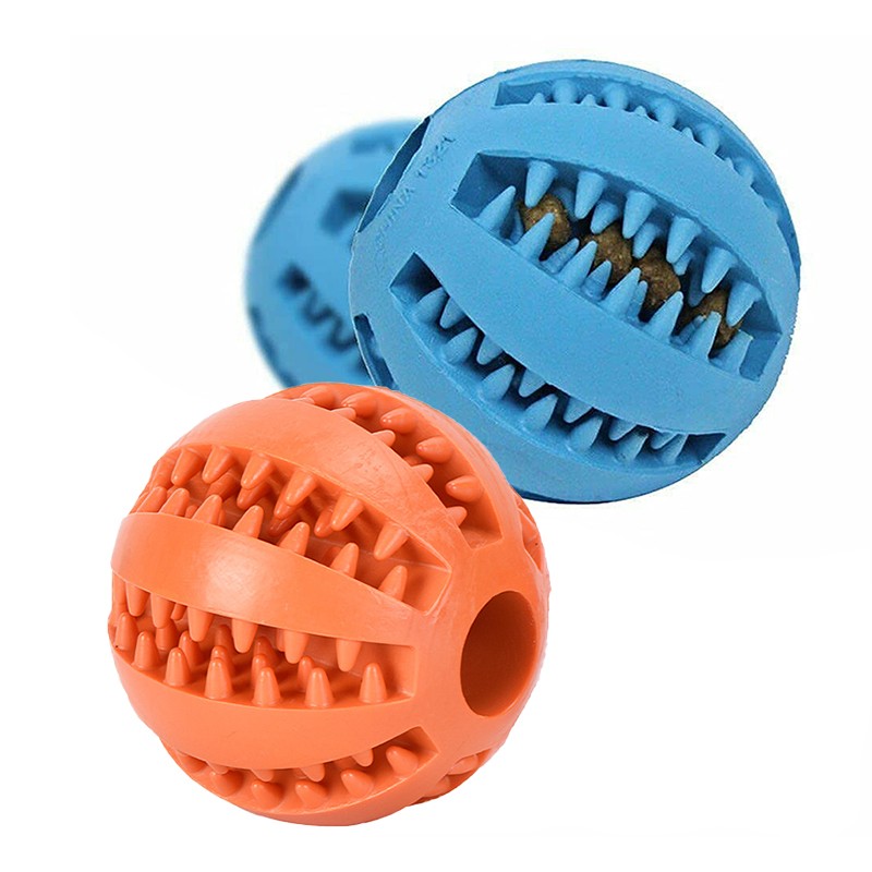 Dog Chewing Ball