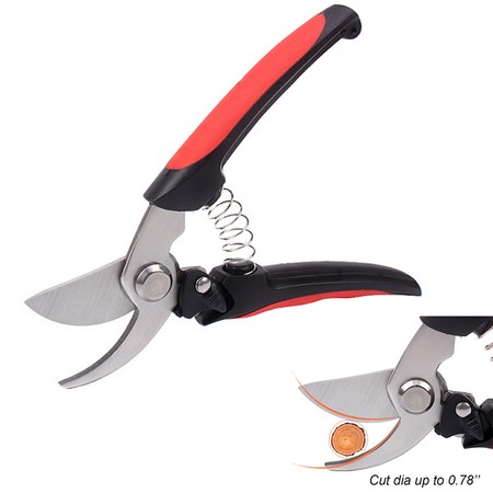 Pruning Scissors