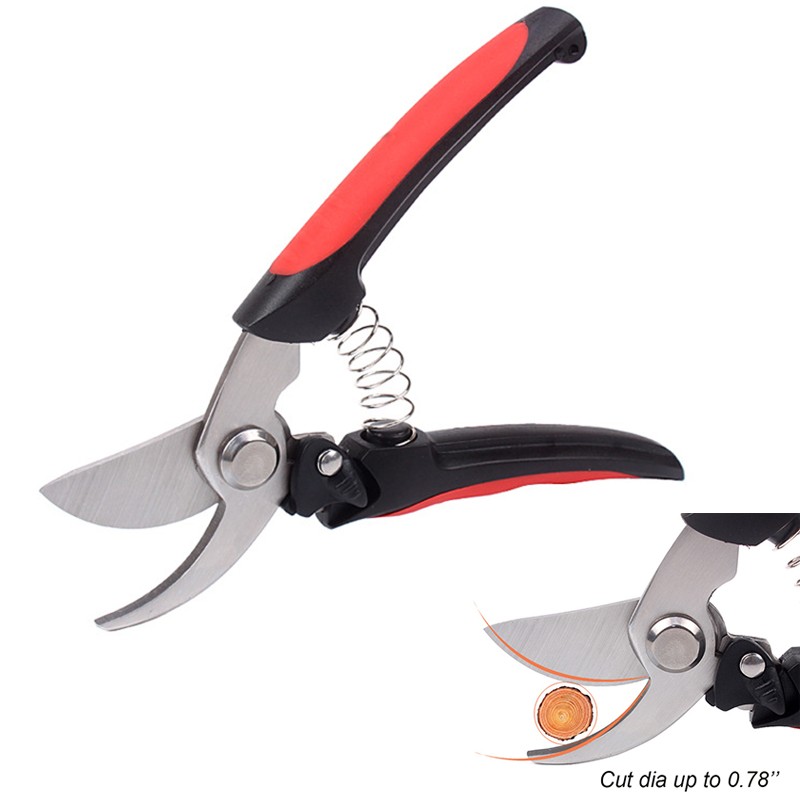 Pruning Scissors
