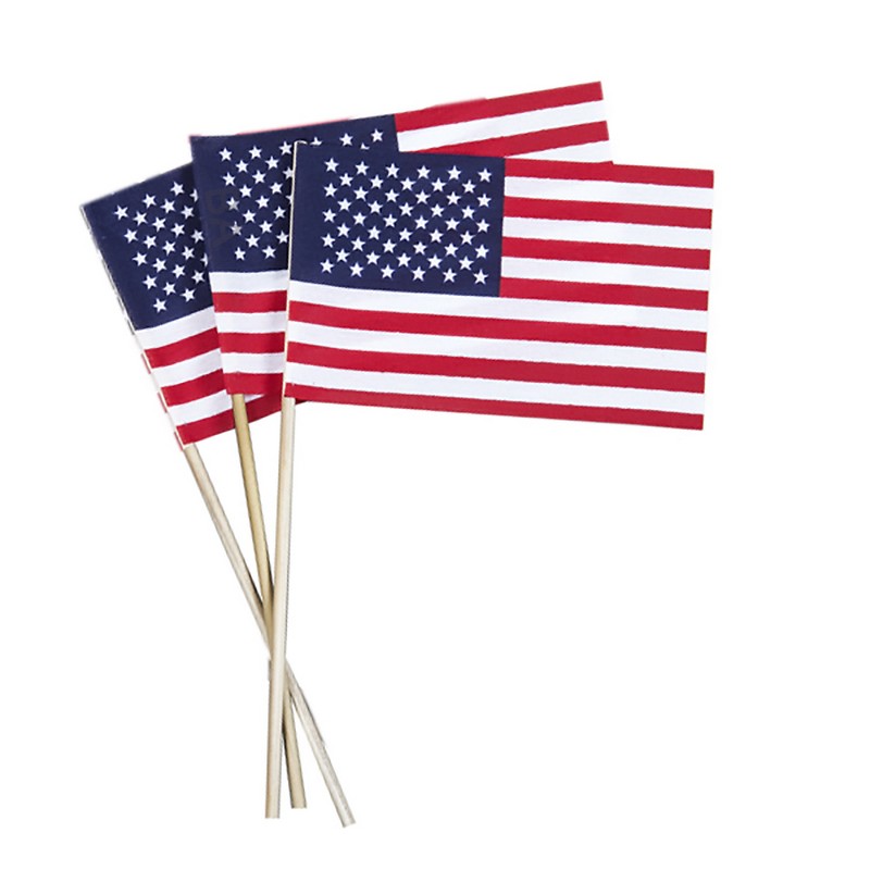 USA Flag with Stick
