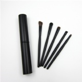 5 pcs Makeup Eye Brush set