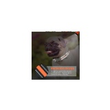 Reflective Dog Collar