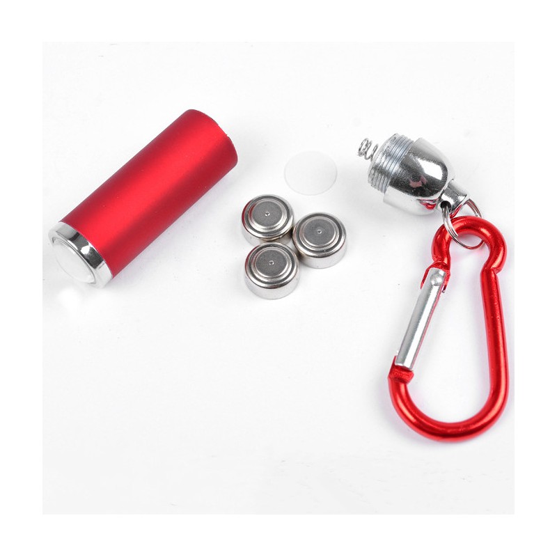 Carabiner Clip LED Light
