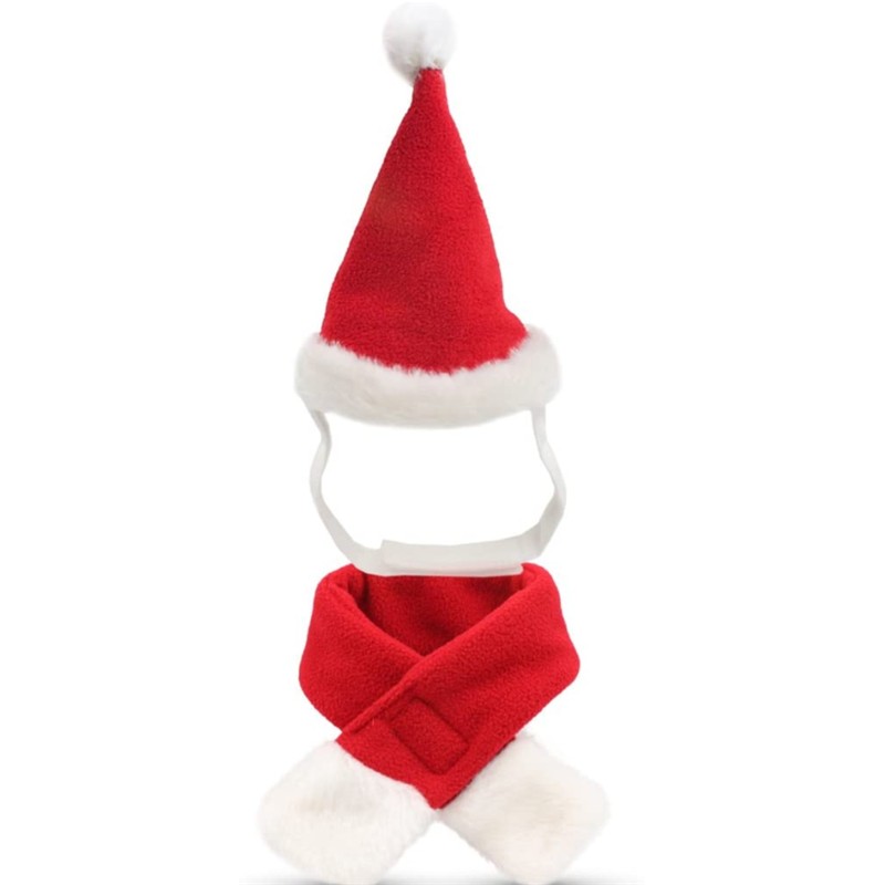 Cat Santa Hat with Scarf