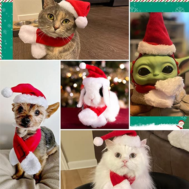 Cat Santa Hat with Scarf