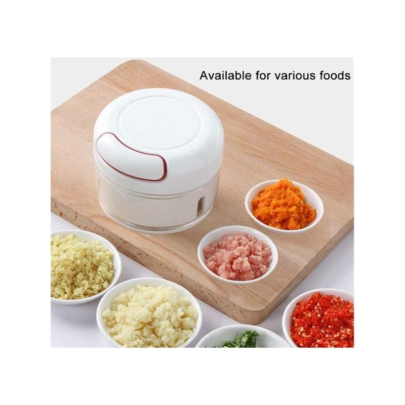 Manual Garlic Chopper,Mini Manual Food Chopper