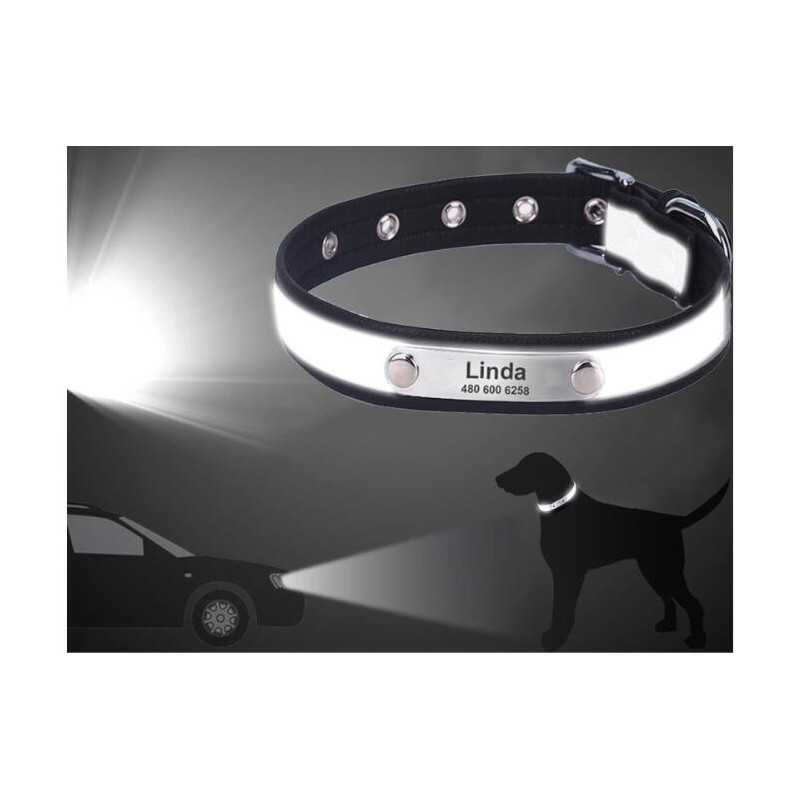 Reflective Dog Collar