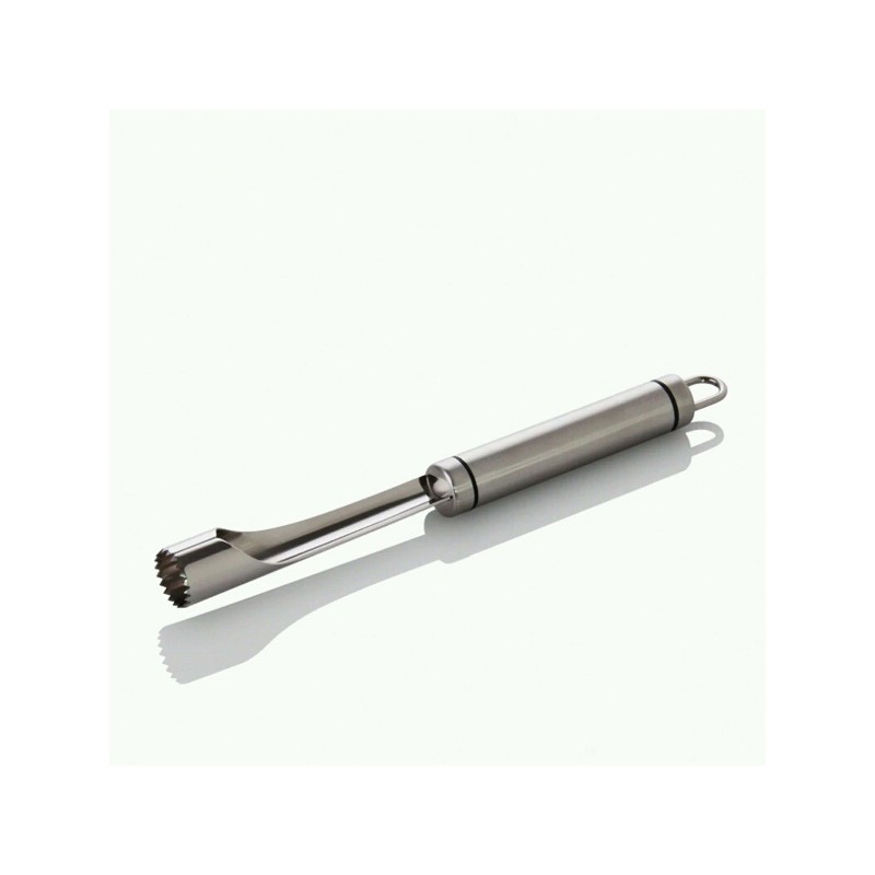 Stainless Steel Fruit Corer Stainless Steel Fruit Corer