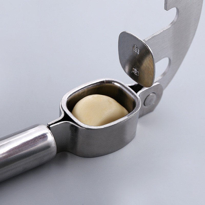 Stainless Steel Garlic Press